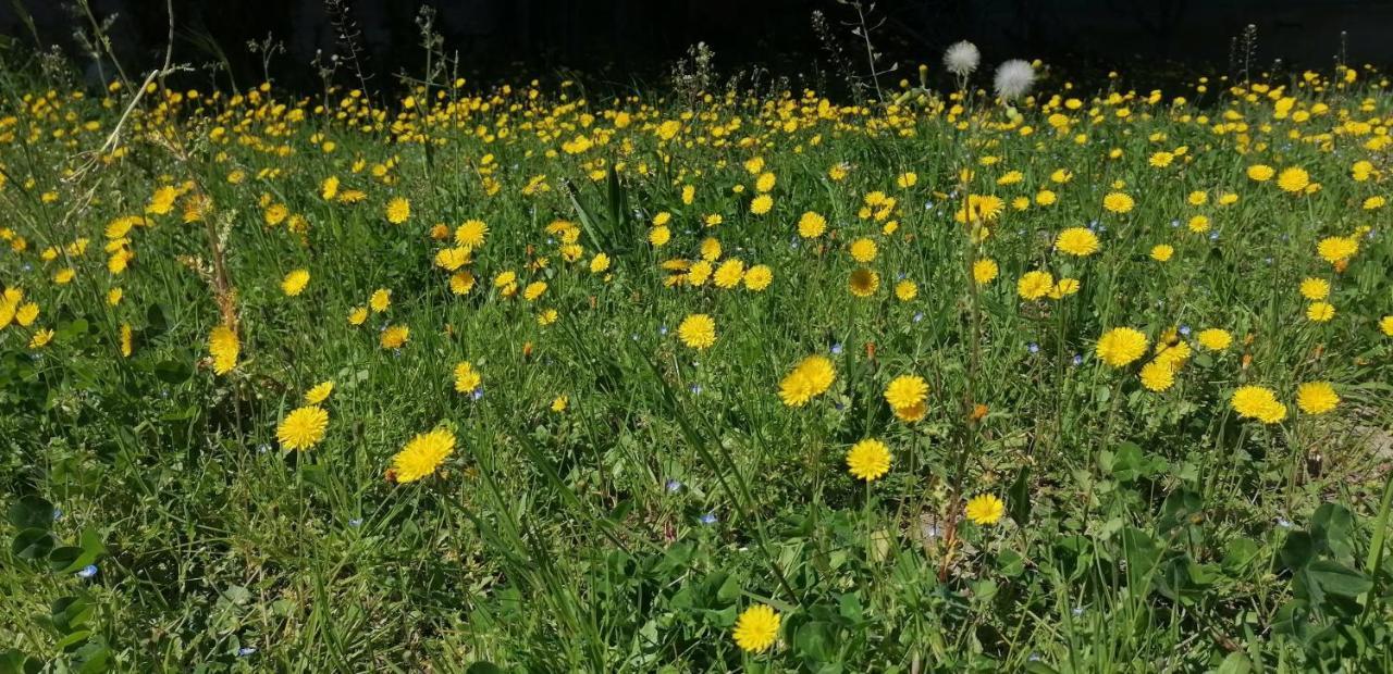 Villa Kps Pujaut Dış mekan fotoğraf